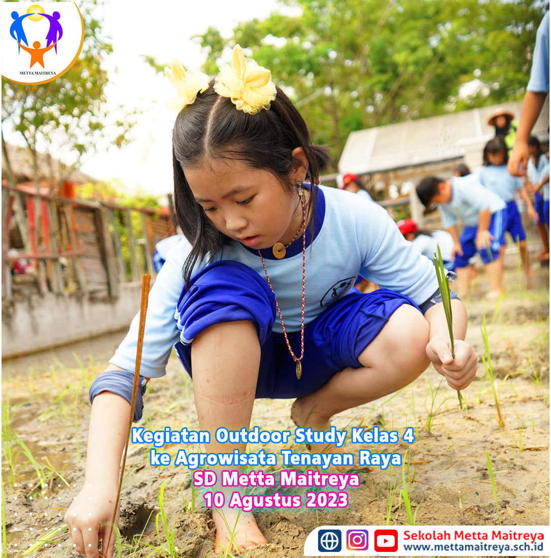 Highlight Kegiatan Outdoor Study kelas 4 ke Agrowisata Tenayan Raya | SD METTA MAITREYA